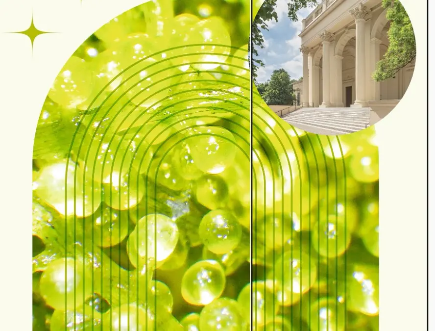 Angewandte Public Colloquium 2026